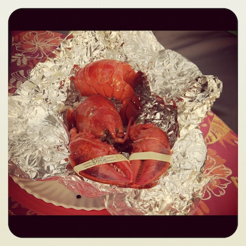lobster-dead-rip Lobster dead R.I.P go vegetarian